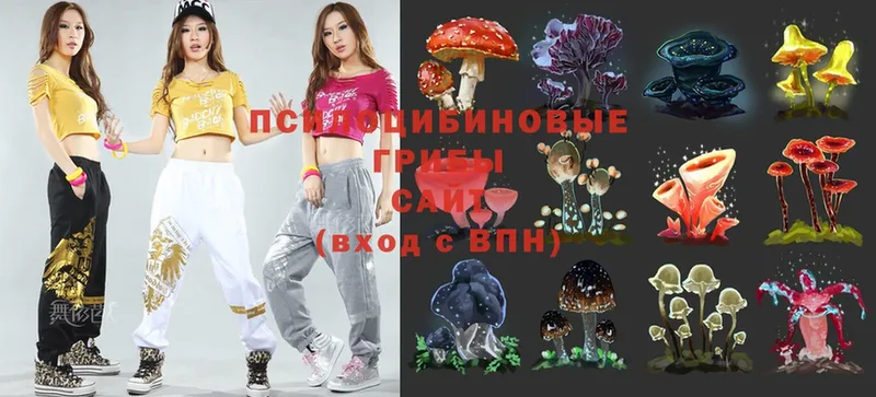 Псилоцибиновые грибы MAGIC MUSHROOMS  Катайск 